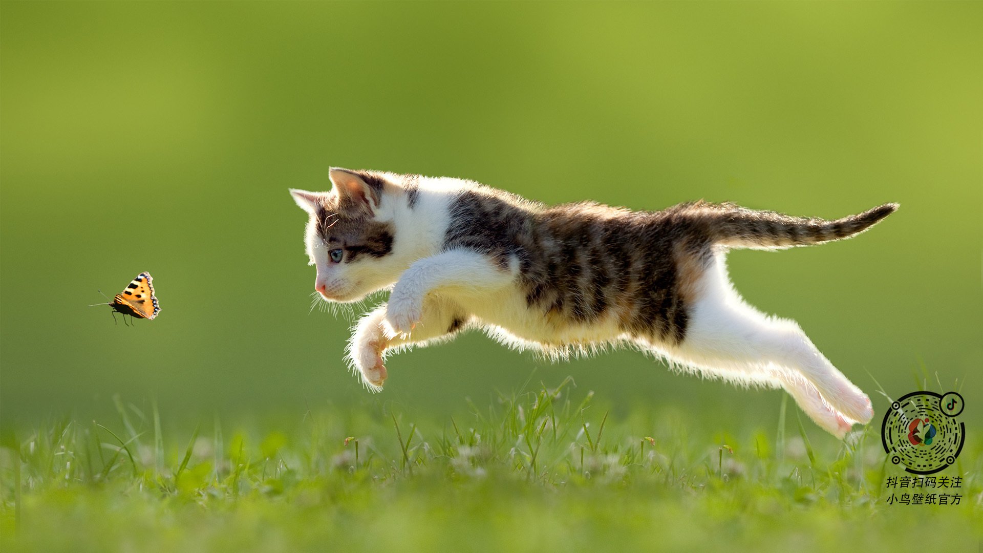 “中国球员海外比赛表现受到关注”，中国海外球员吧微博