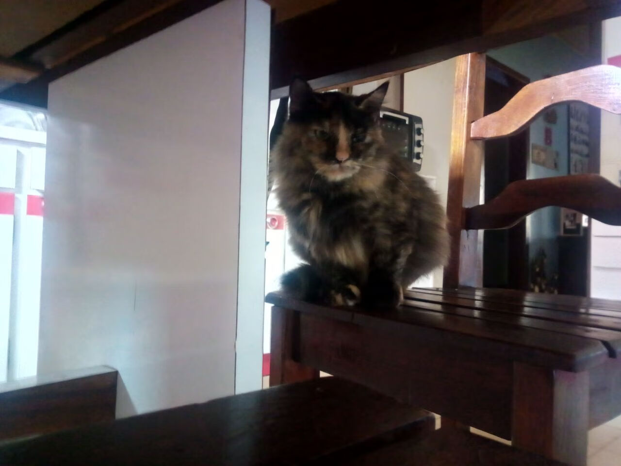 乌拉圭男足在巴黎奥运会上展示了高水平的战术执行力,乌拉圭著名足球运动员