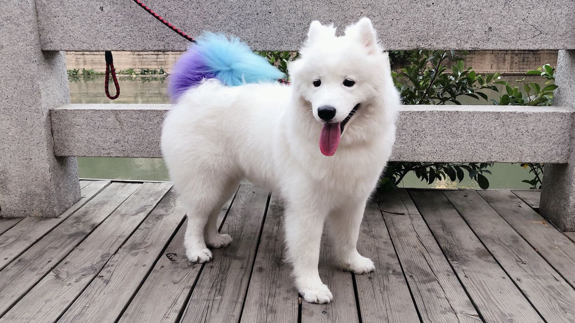 女子拳击国家队更换主教练，奥运备战全面升级，女子拳击运动员冠军