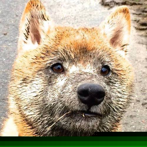 快乐骑行日，家庭运动乐趣无限延续，骑友们骑行快乐