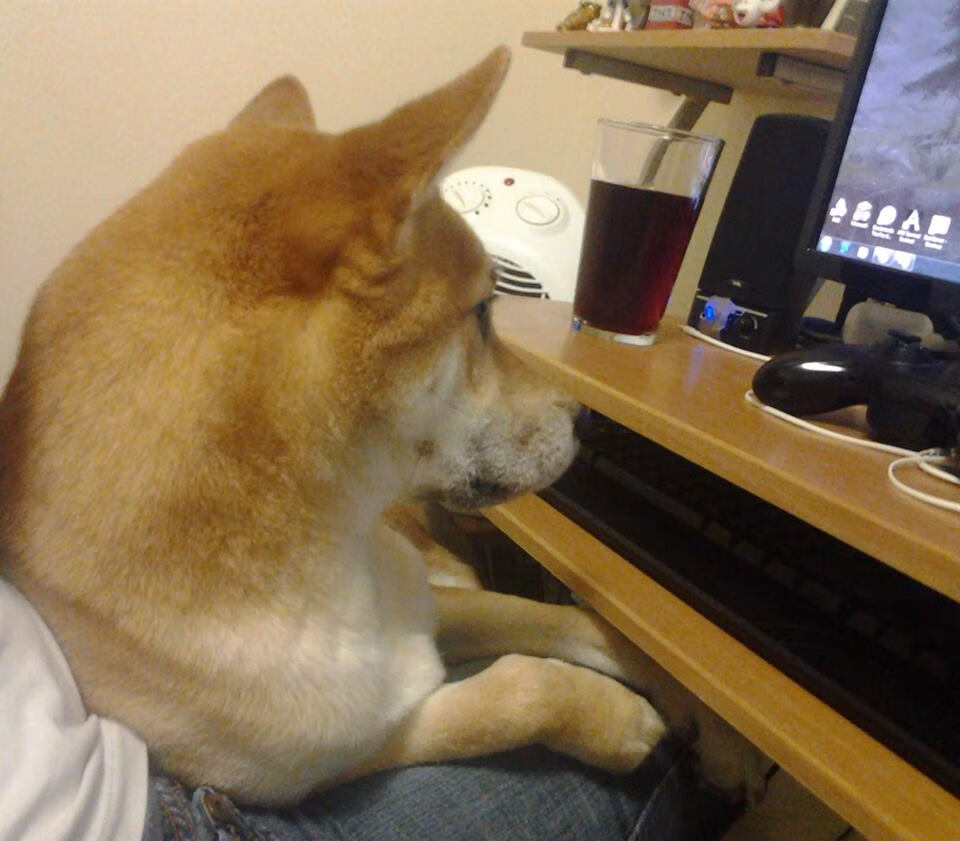 leyu乐鱼-FaZe开启LOL直播系列挑战赛，英雄联盟faker直播