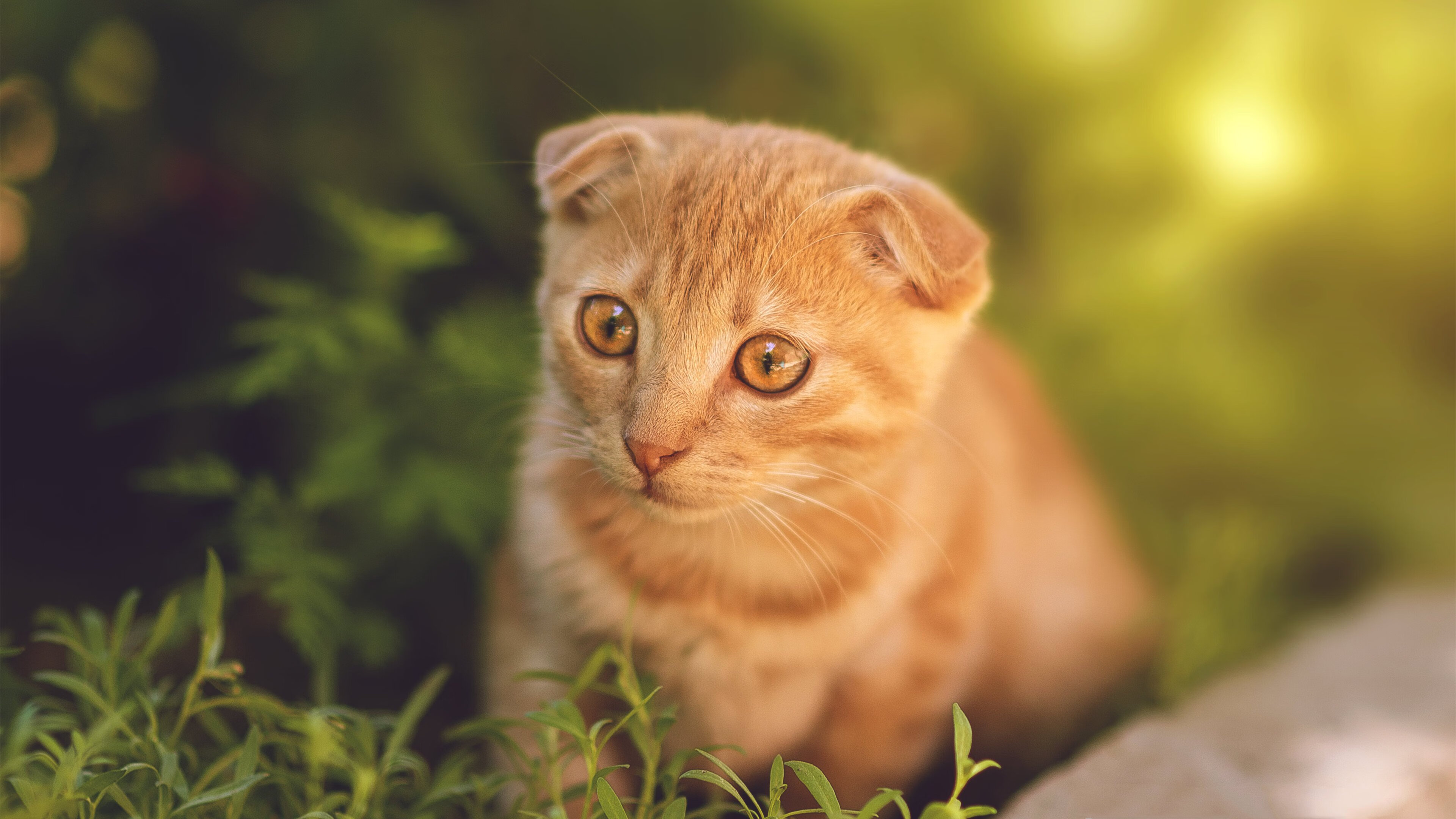 主力中场爆发异军突起,球风成为队内亮点,球风什么意思