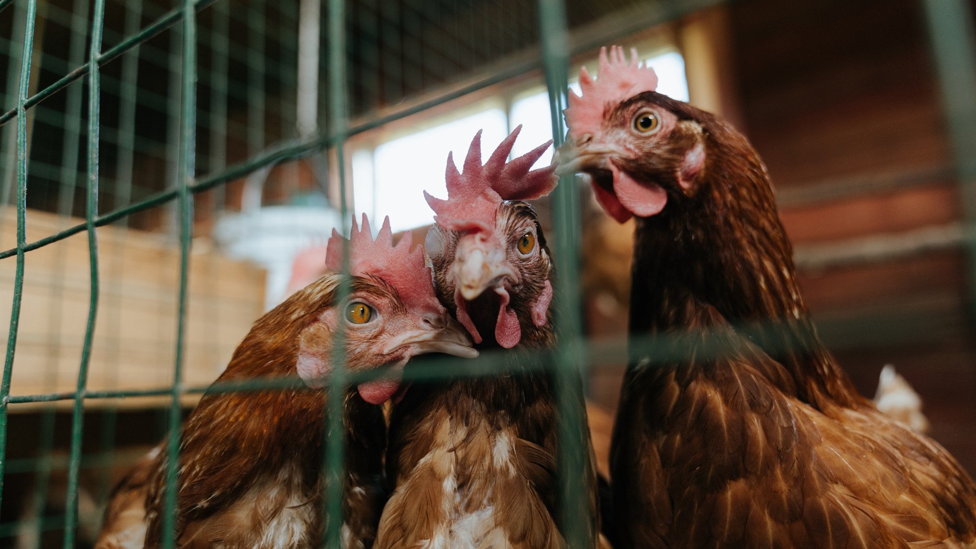 Leyu Sport登录入口-哥伦比亚马术协会举办国际马术科技大会，推动行业技术交流与合作。