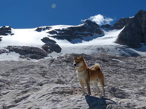 leyu.com-布鲁诺·卡博克洛成为NBA社交媒体关注焦点，布鲁诺卡波科洛体测数据