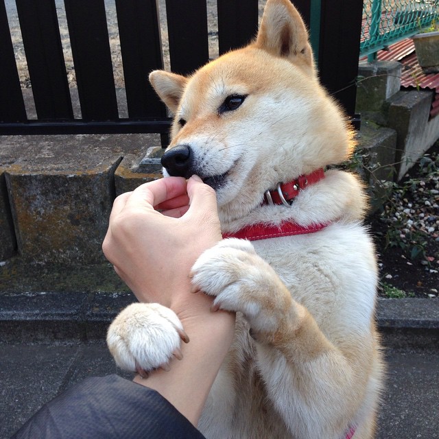 意甲球队宣布与赞助商签下了长期合同,意甲赞助商排名