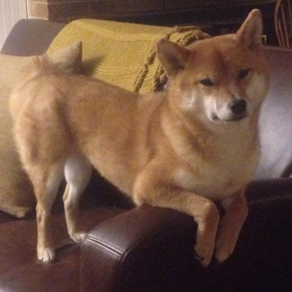 梅西神锋破门,巴黎逆转战胜皇马,梅西首球巴黎