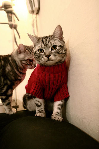 乐鱼（LEYU）体育-萨拉提瓦入选国家队，多场比赛表现抢眼，萨提瓦饮料