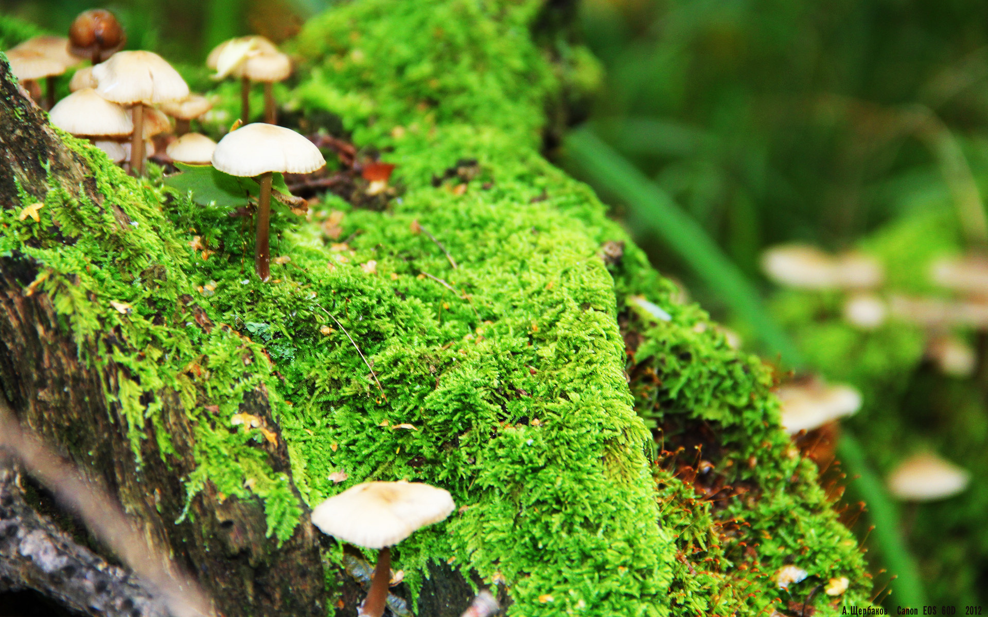 乐鱼电竞在线平台-萨拉赫本赛季英超进球数破30，助攻榜领跑，萨拉赫英超金靴