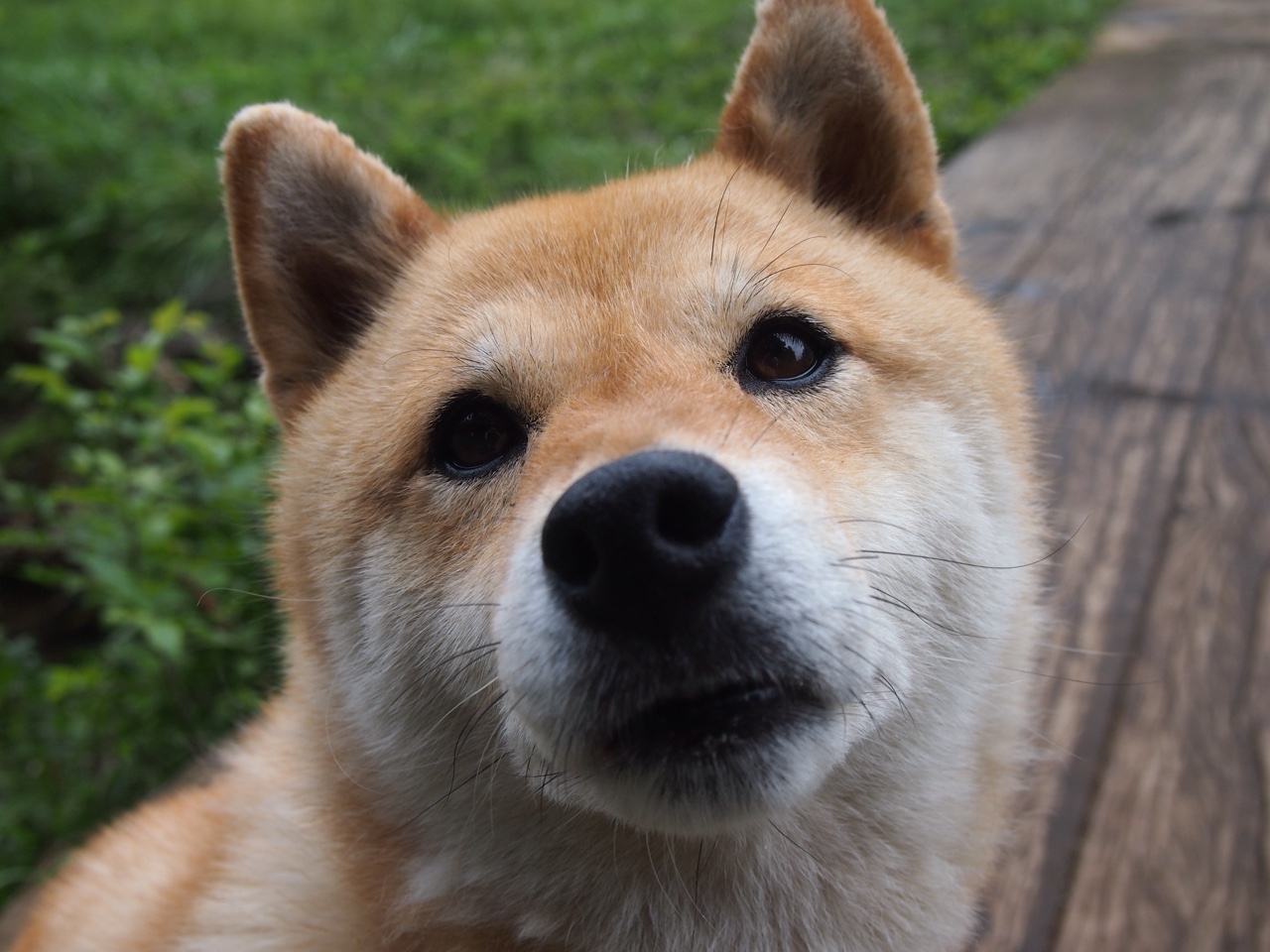 LeyuSports-国足球队失球时间段集中分析，中国足球失去主场