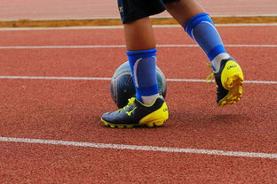 乐鱼（中国）体育官方网站-足球产业链：从青训到转播的全产业生态，足球产业主要经营内容