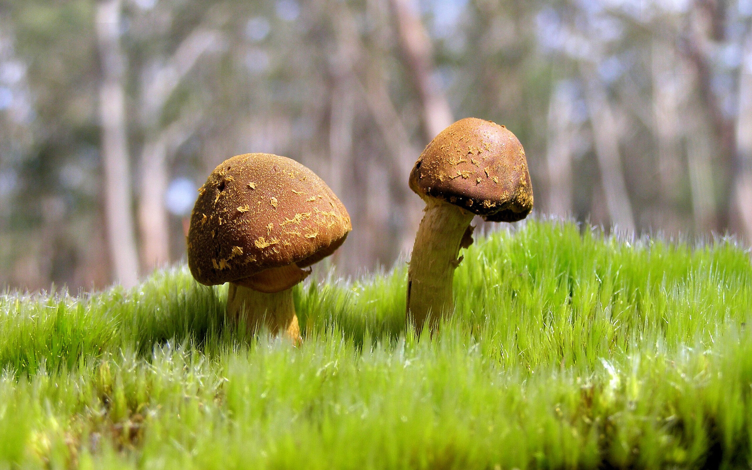 乐鱼（中国）体育官方网站-CBA联赛推广青少年篮球普及，青少年篮球选拔赛