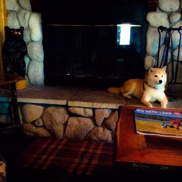 世界杯预选赛中国足球战败 球迷希望更换战术体系，足球世界杯预选赛中国队战绩