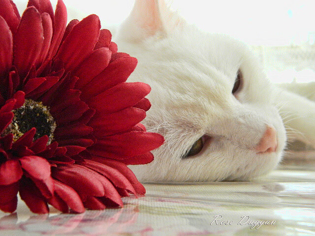 冰雪运动普及率明显提升南方城市表现亮眼，冰雪运动的普及