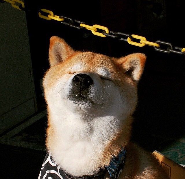 乐鱼体育APP官方下载-新加坡队赛制研究：如何通过合理赛制布局减少比赛中的失误，新加坡小组赛