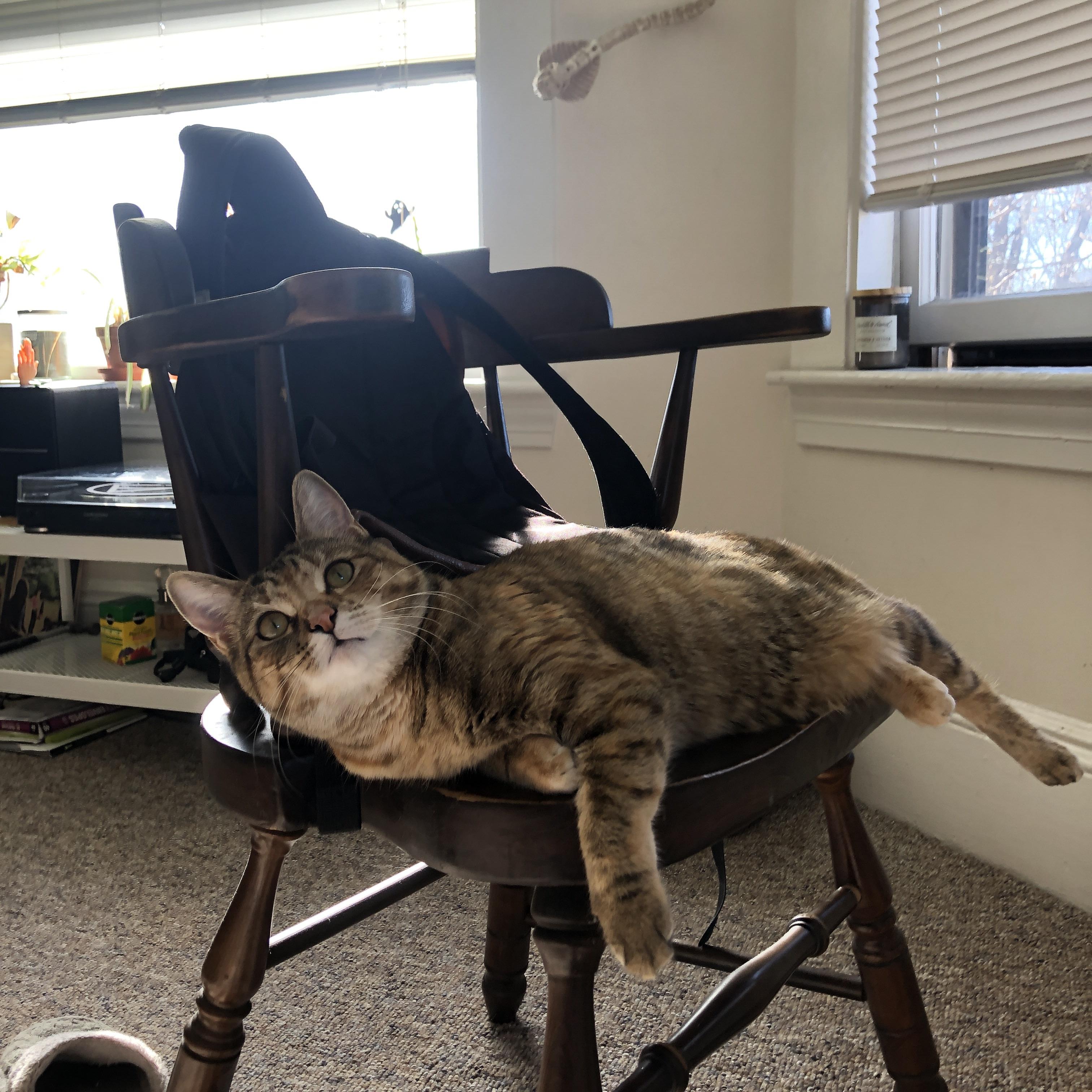 乐鱼（LEYU）体育-那不勒斯中场控球优势确保节奏连贯，那不勒斯中场球员