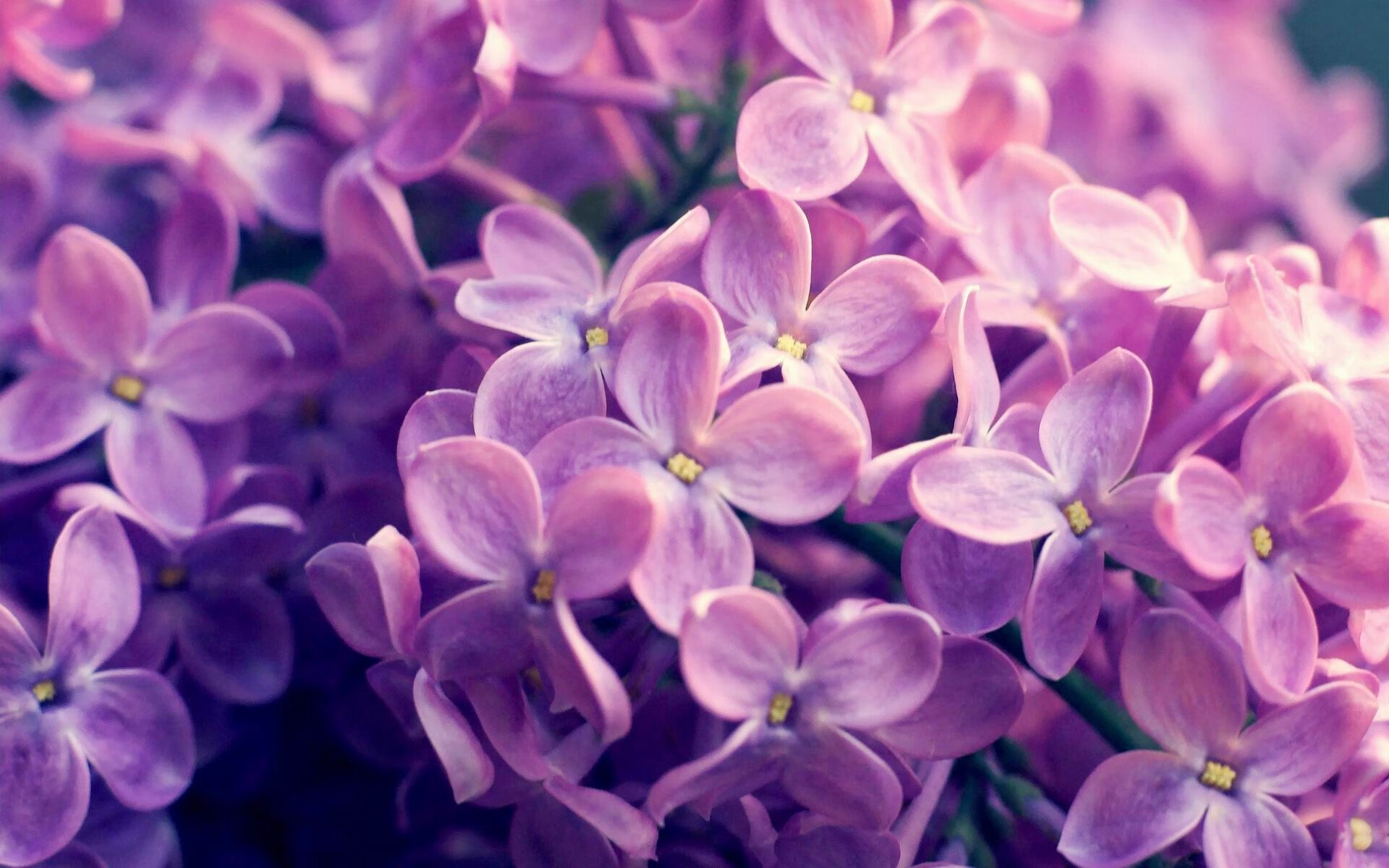 乐鱼体育-全球青少年足球竞赛火热进行，培养未来国际足球明星，世界青少年足球比赛