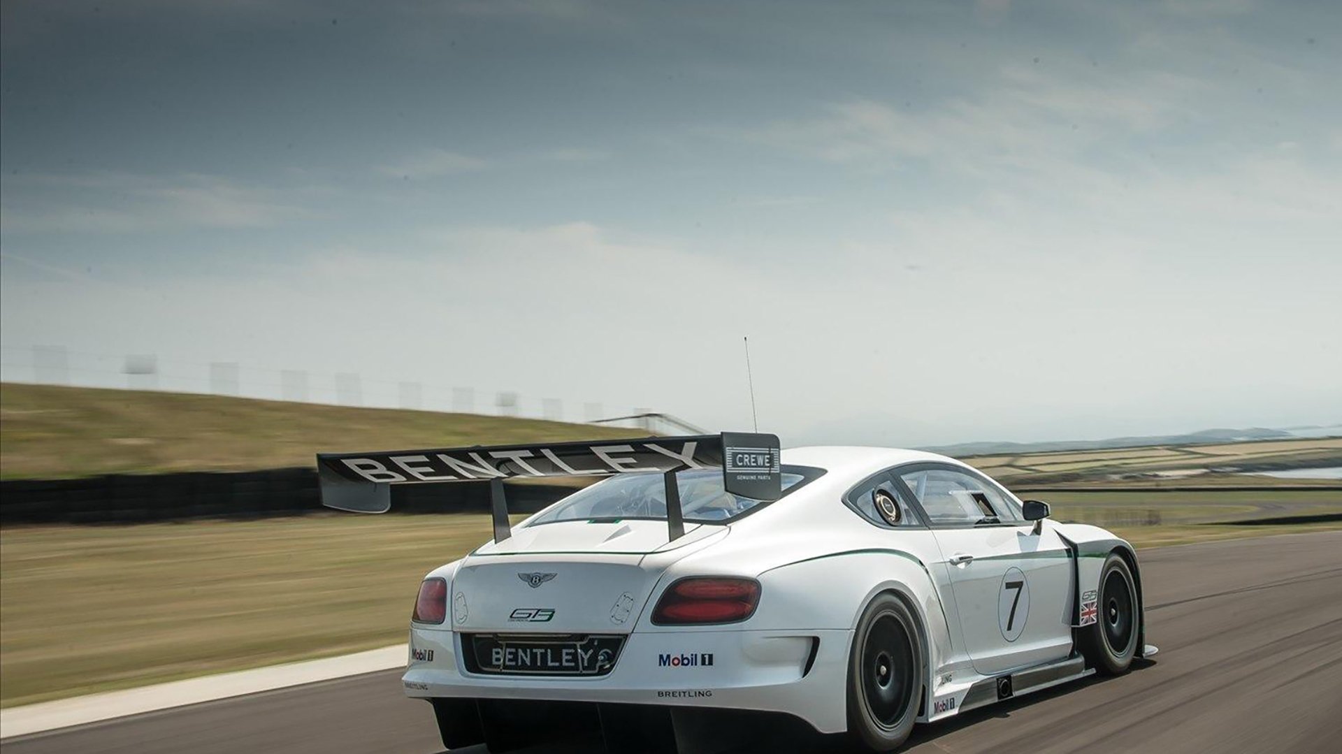 塞尔维亚女篮在欧洲锦标赛中夺冠,续写辉煌