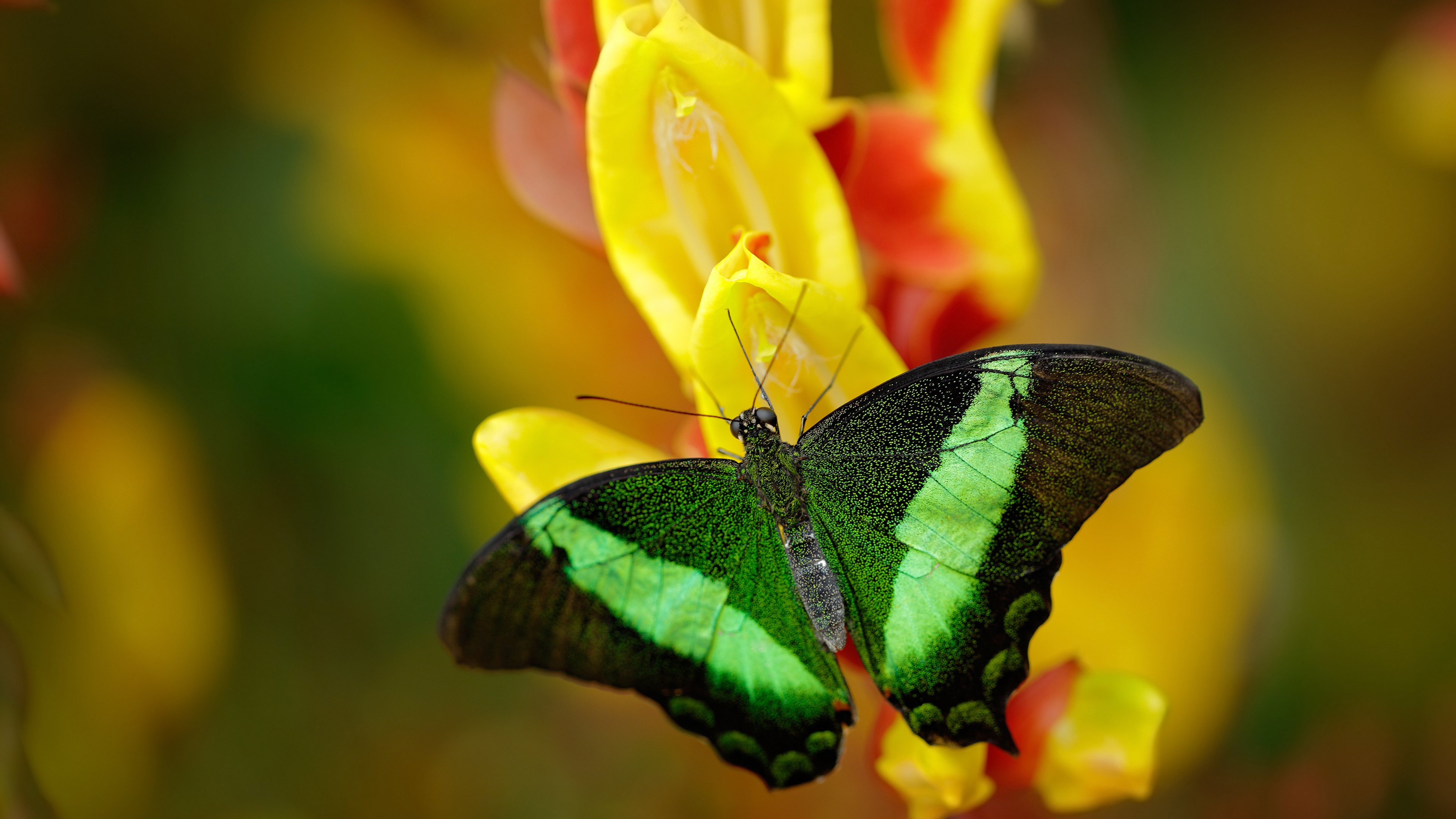 快船主教练分析新赛季球权分配调整方向，快船球队球员
