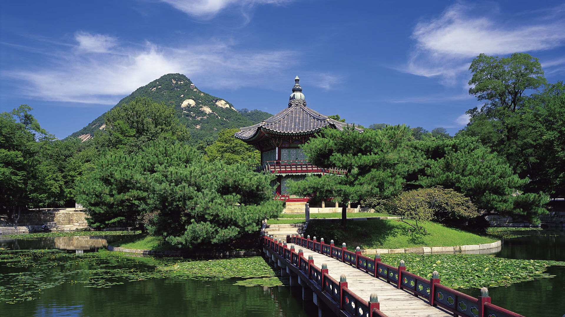 非洲女篮锦标赛中,安哥拉再次夺冠,体育影响力持续扩大,非洲女篮国家队排名