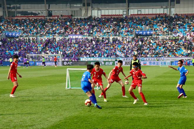 中超本土球星闪耀赛场! 中超本土球星闪耀赛场!